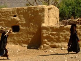 نساء في اليمن يحملن الحطب