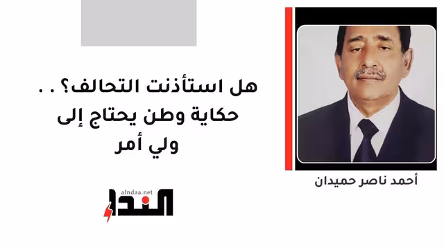 هل استأذنت التحالف؟.. حكاية وطن يحتاج إلى ولي أمر