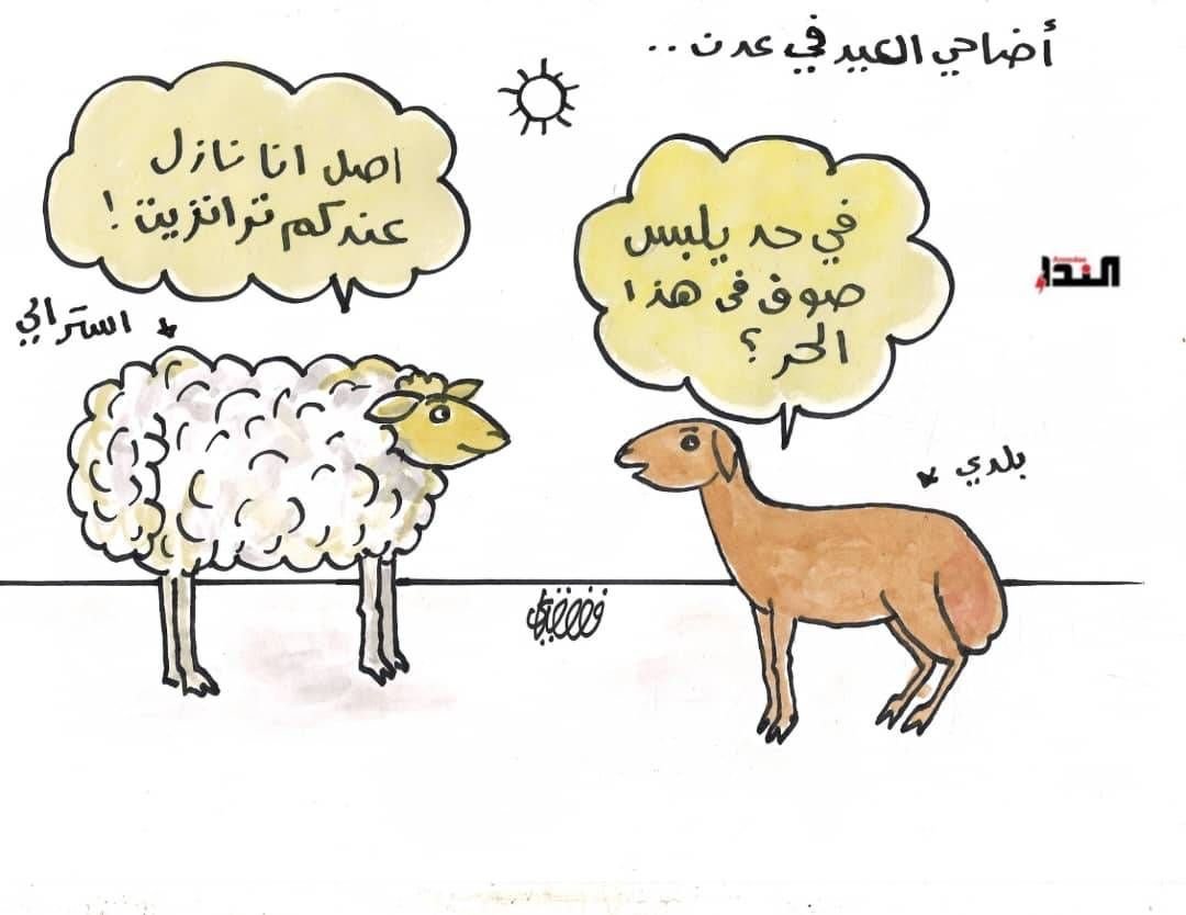 أضاحي