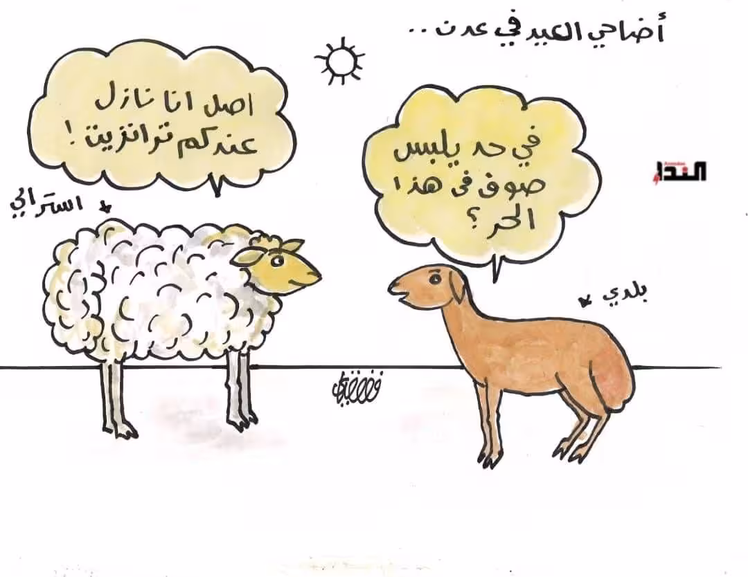 أضاحي  العيد في عدن