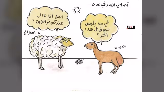 أضاحي  العيد في عدن