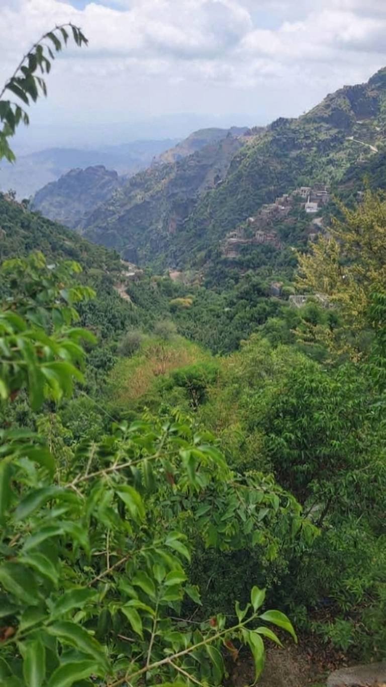 جبل حبشي