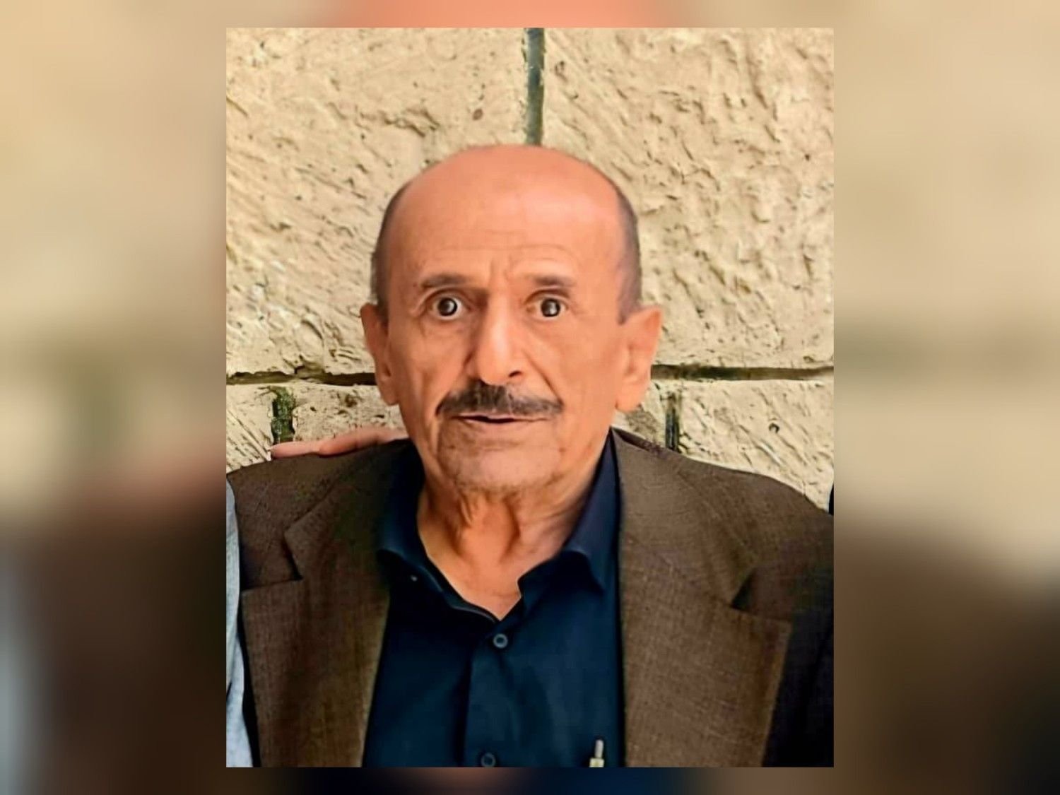 محمد علي الشامي