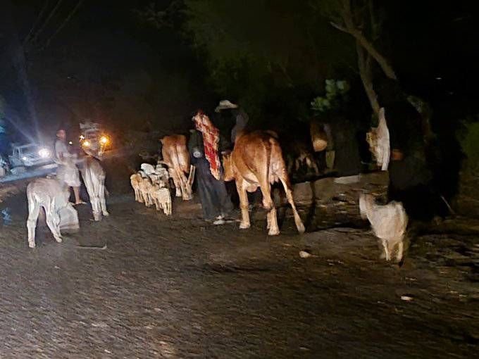 نروح اهالي جبل حبشي