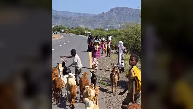 الحـ..وثيون يسيطرون على مناطق في ريف تعز الجنوبي