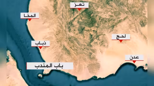 القوات الحكومية تعلن سيطرتها على مدينة المخا