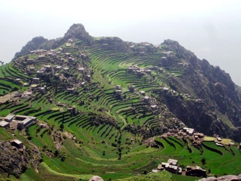 مدرجات زراعية منصات