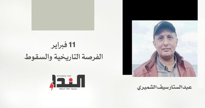 عن 11 فبراير الفرصة التاريخية والسقوط