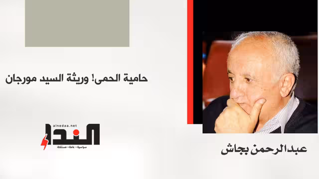 حامية الحمى! وريثة السيد مورجان