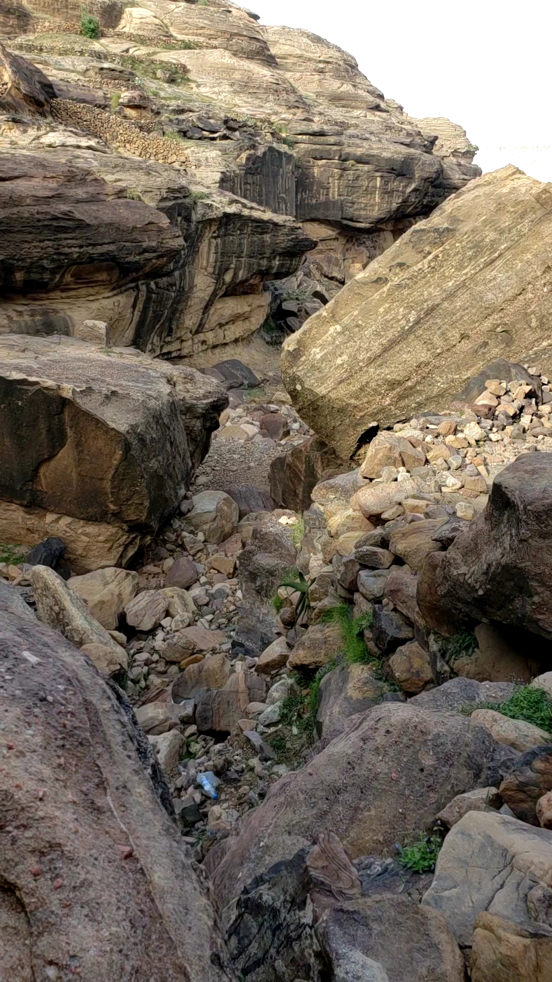 20240530_161544_capture(0)