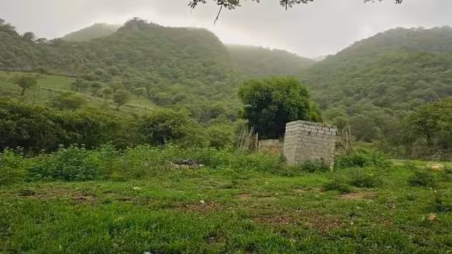 خذوني إلى حوف