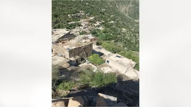 بضع فوائد من رحلة فائد