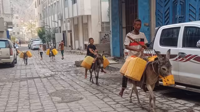 مشاريع غائبة وخدمات مفقودة.. المواطنون ينقلون المياه على ظهور الحمير في عدن