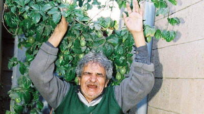 عودة إلى عالم "البردوني"!