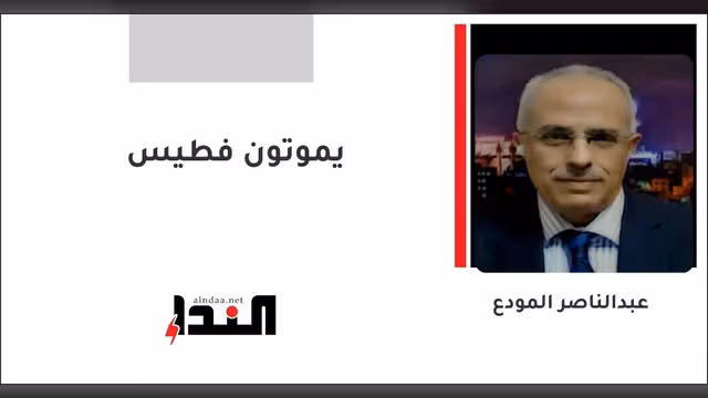 يموتون فطيس
