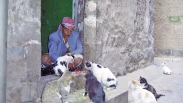 السنحاني الذي يقطن رفقة «سالي» و«جاكي»
