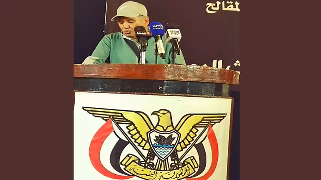 شجرة المقالح