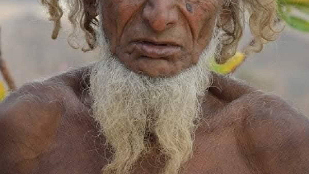 صعالف (منصات التواصل)