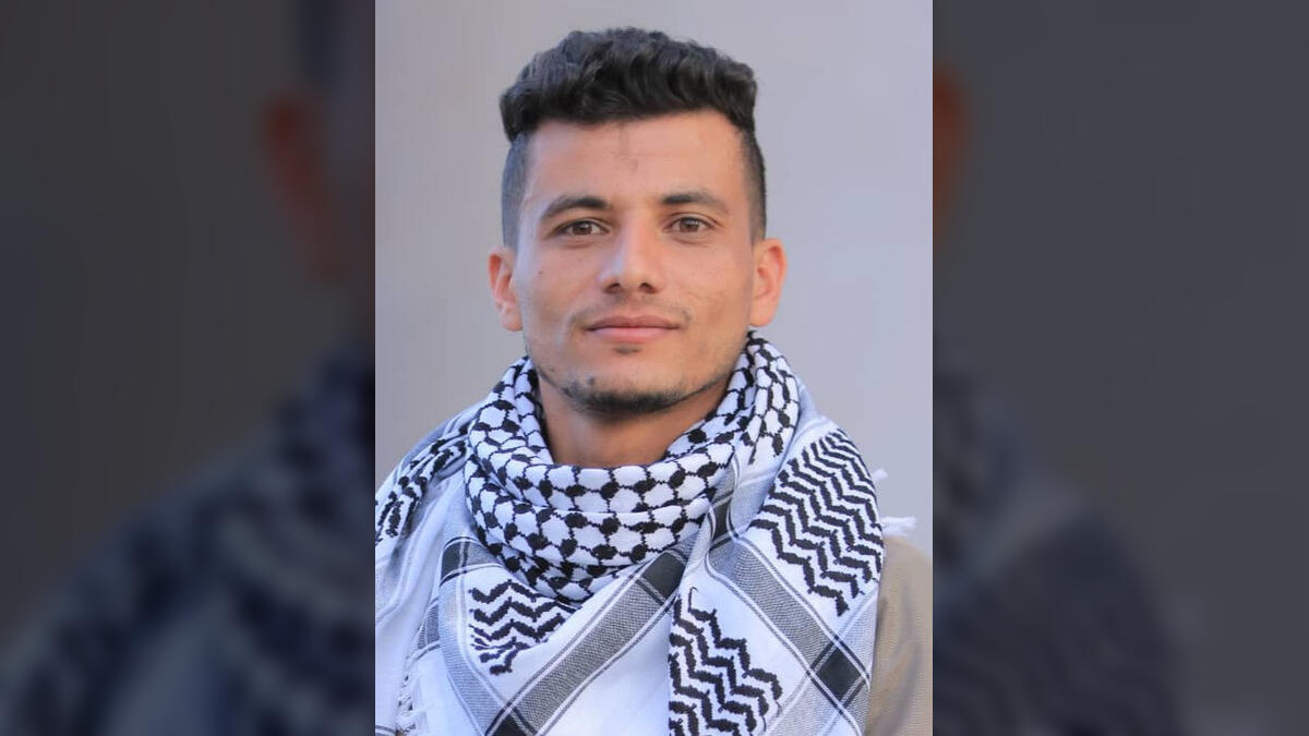 شوقي نعمان