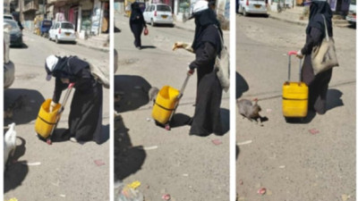 التعافي من السرطان بإطعام القطط المشردة
