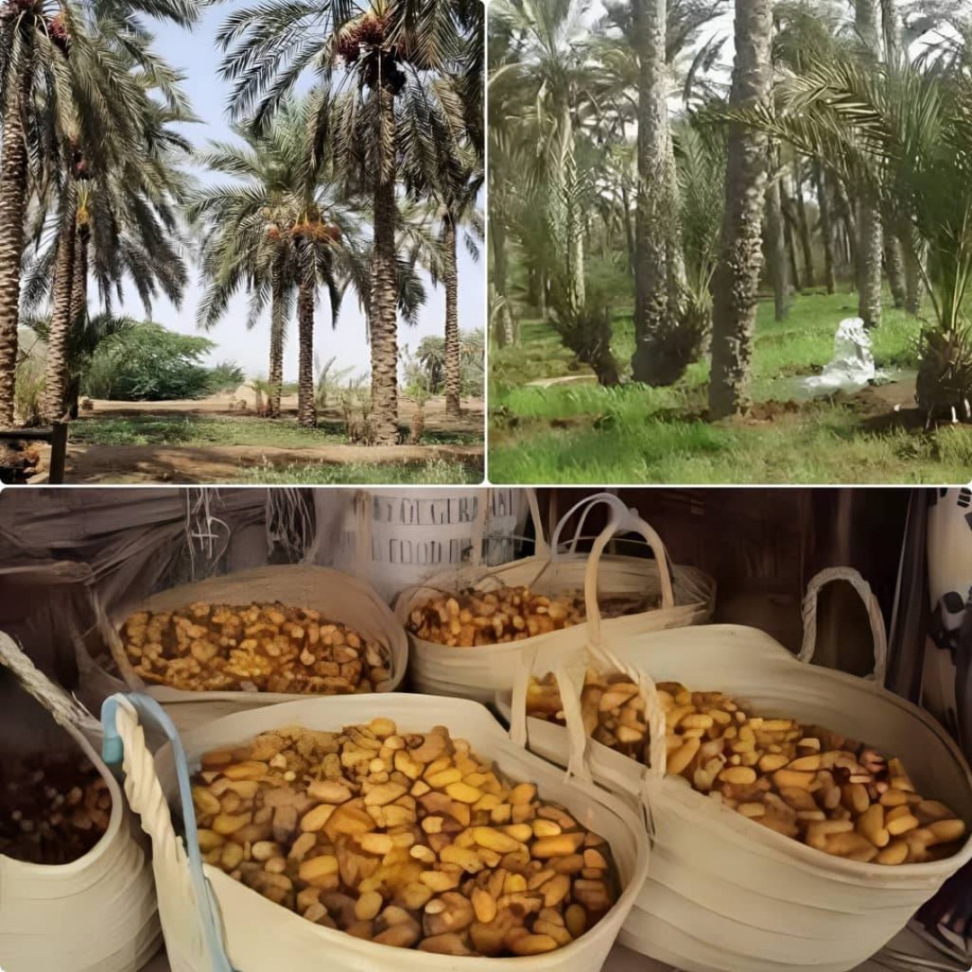 الركام قد يتحول يوماً إلى بداية جديدة