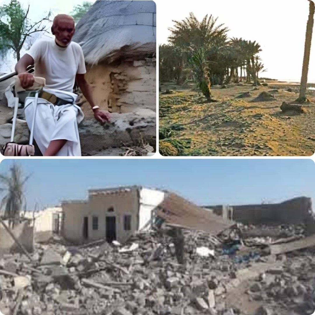 قد ينهار الحجر تحت القصف لكن الإنسان يظل قادراً على النهوض