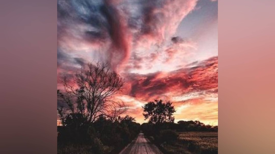 نبيّاتٌ سُمر