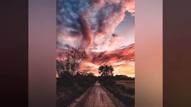 نبيّاتٌ سُمر