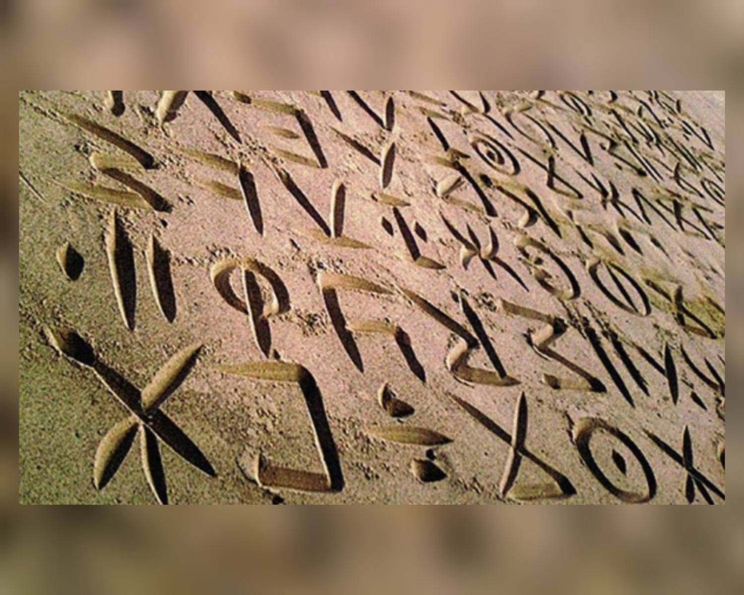 اليمنيون يحتفون بيوم اللغة المهرية ويدعون لحمايتها من الاندثار