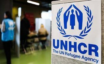 اللاجئ اليمني والأمم المتحدة: عقد من الإهمال والصمت