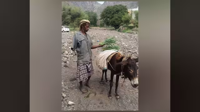 المكرِّث