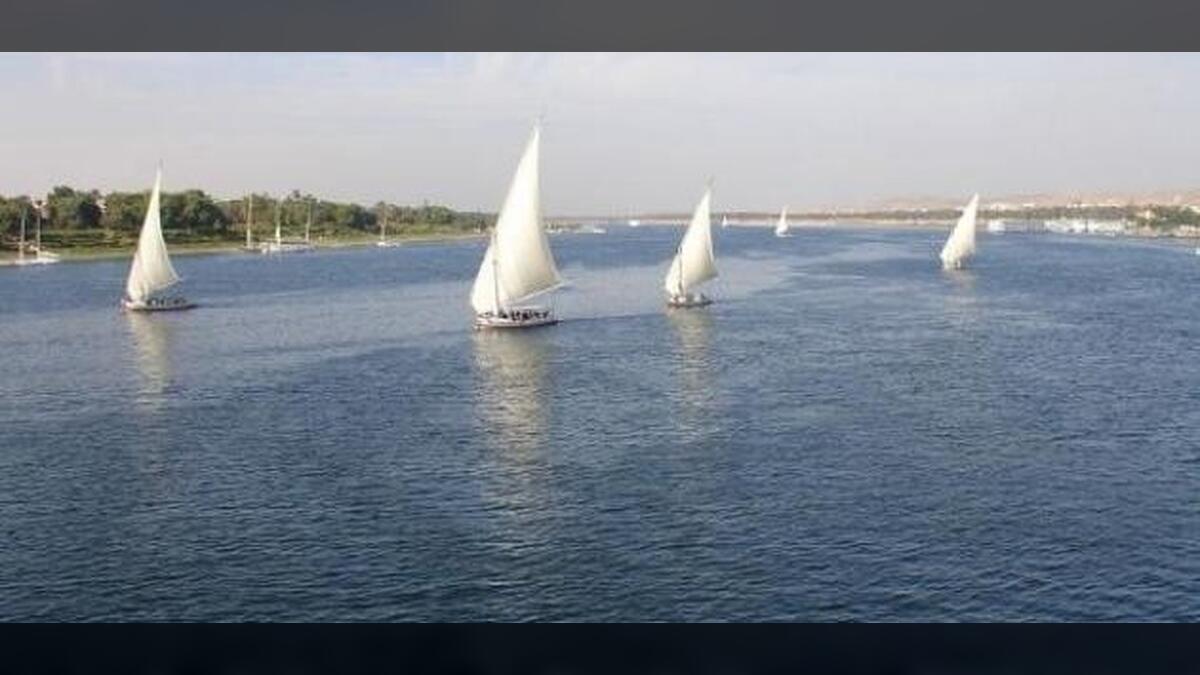 من وحي النيلِ يَنبُتُ عشقٌ