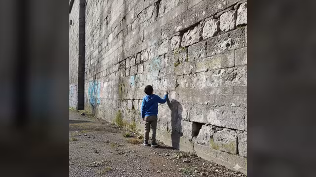 جدران العيب