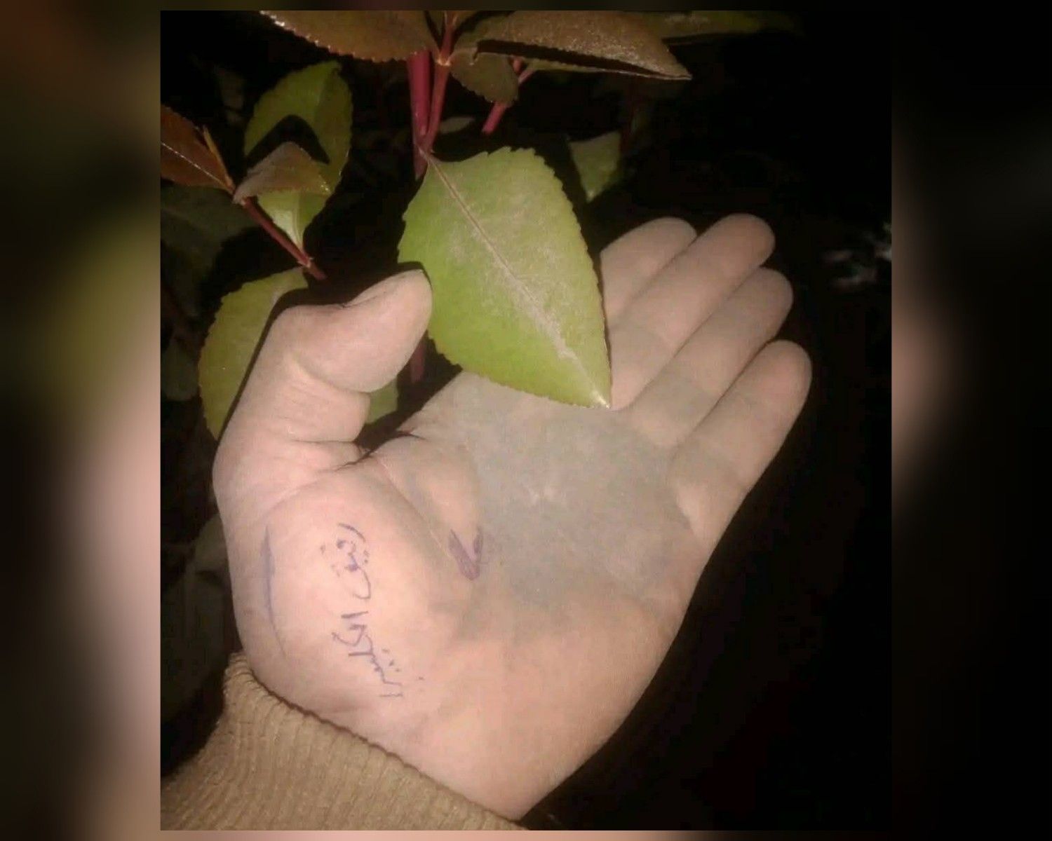 بين القلق والتطمينات.. خبراء يوضحون تأثير رماد بركان إثيوبيا على اليمن