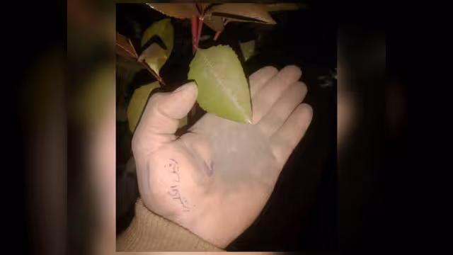 بين القلق والتطمينات.. خبراء يوضحون تأثير رماد بركان إثيوبيا على اليمن