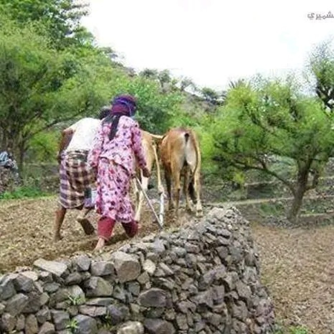 صوت الأرض وصدى الإنسان صوت الأرض وصدى الإنسان