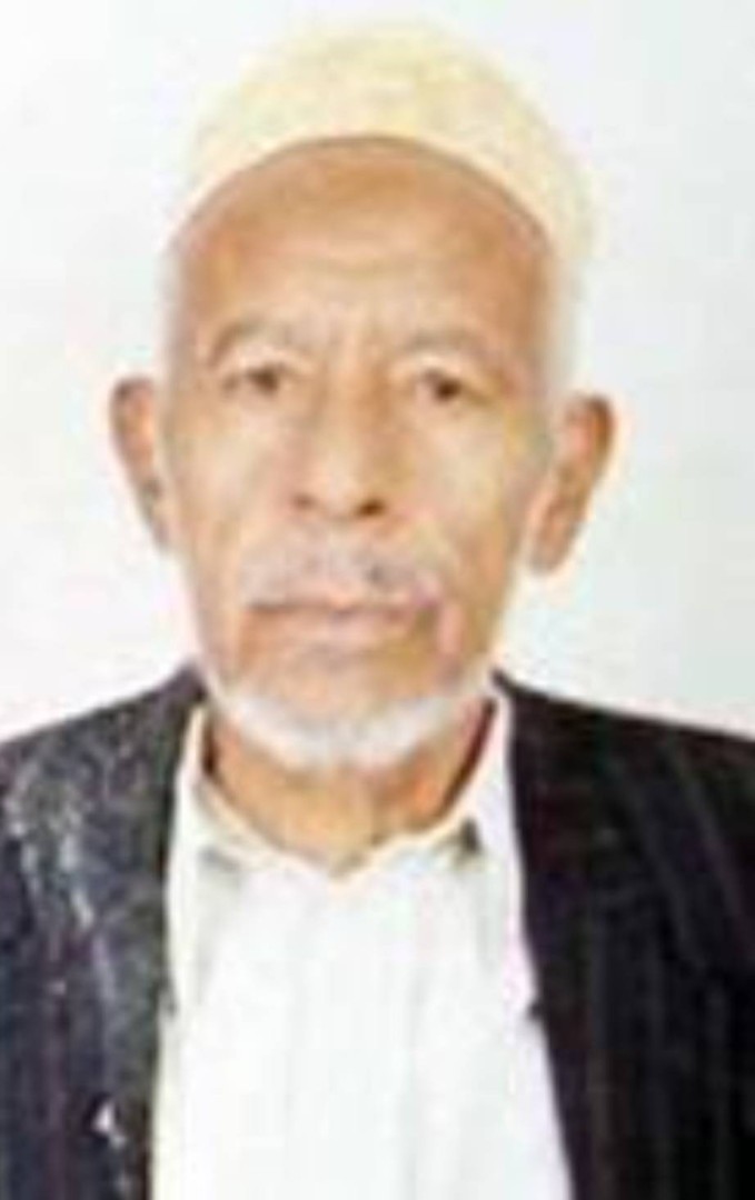 محمد زين العودي