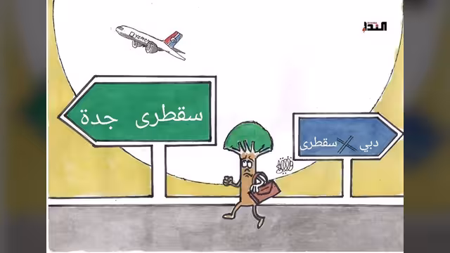 كاريكاتير- سقطرى