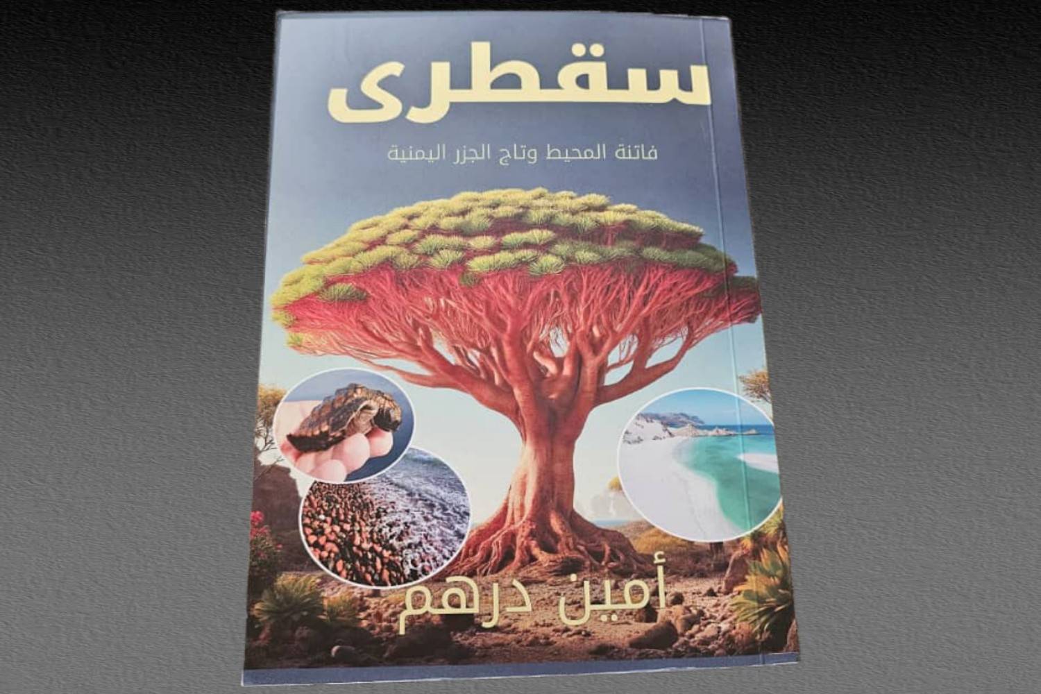 سقطرى.. فاتنة لم تجد من يعشقها!