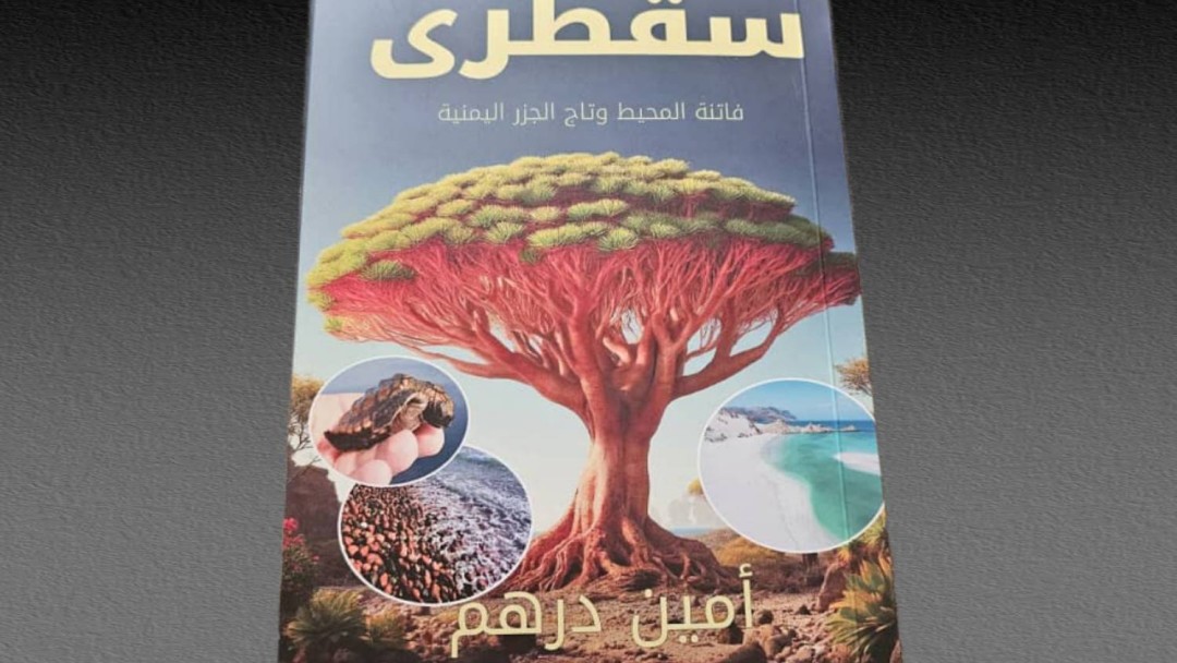 سقطرى.. فاتنة لم تجد من يعشقها!
