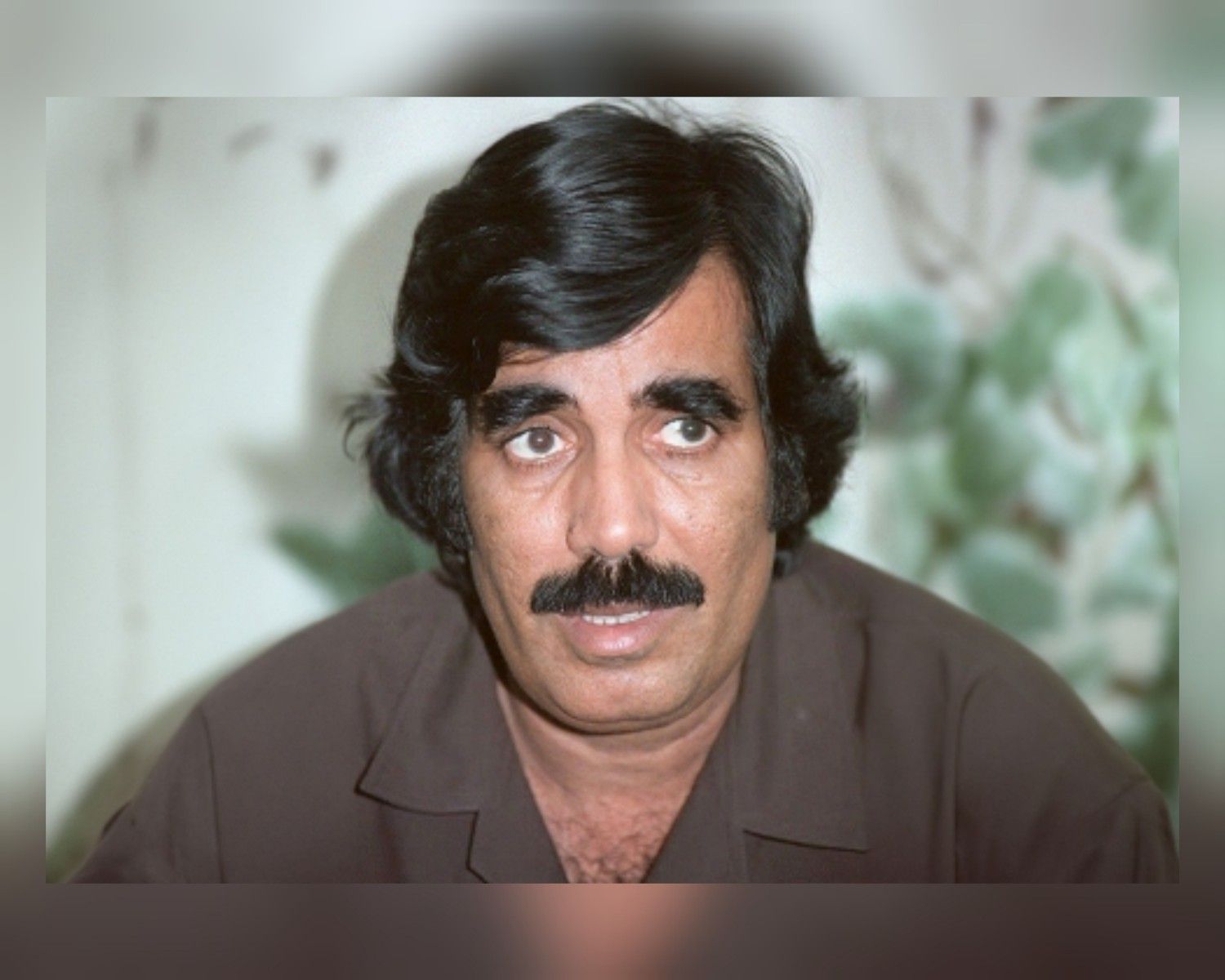 البِيض.. من توقيع الحلم إلى ارتباك المعنى