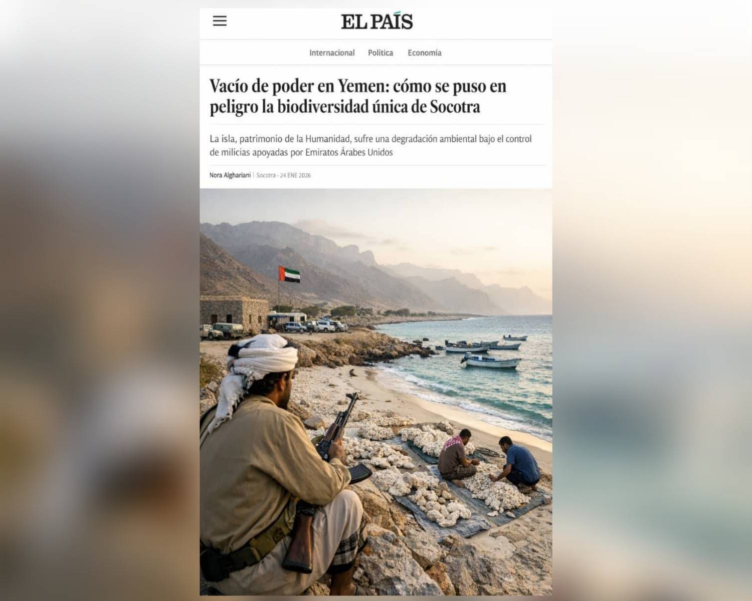 سقطرى.. سيرة جزيرة أُديرت كغنيمة