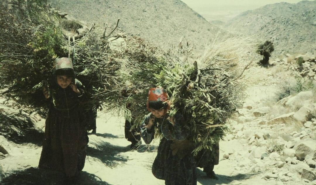 رازح 1998