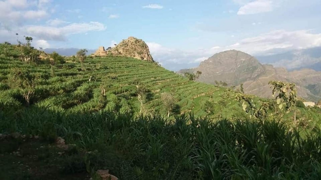 مديرية مزهر ـ منصات